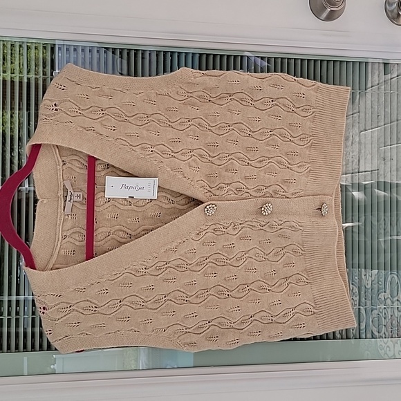 Papaya Sweaters - Papaya Sweater Vest V Neck Button Front Tan Sz L NWT
